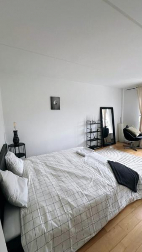 Elegant Apartment